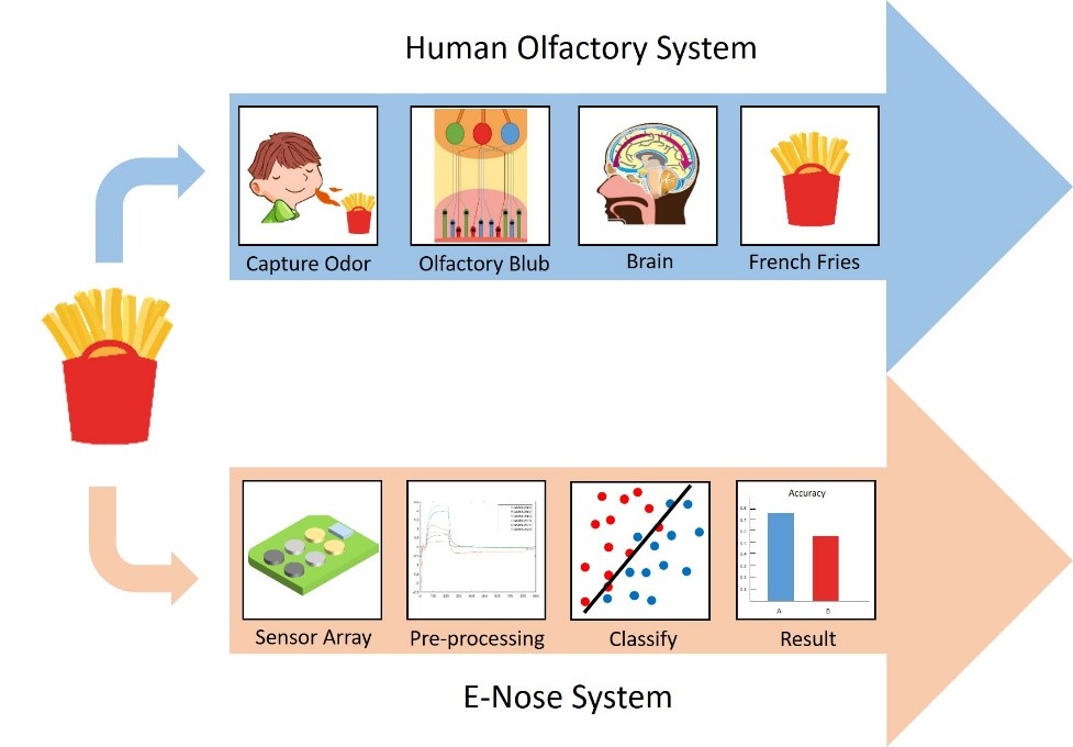 圖二 結合人工智慧，電子鼻系統運作更接近人類嗅覺判斷