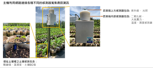 圖5 架設於實際農地之農業感測器設備以收集農場微環境數據